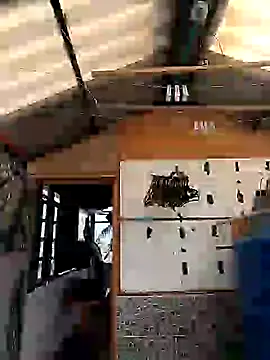 Snapshot of rebekka_simpson chatting on 03/09/25, 08:10 rebekka simpson online show from 03/09/25, 08:10