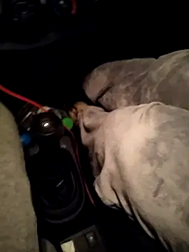 A man in public online show from 04/10/26, 10:47