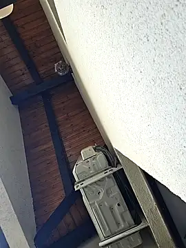 lovewildguy1 online show from 03/23/25, 06:47