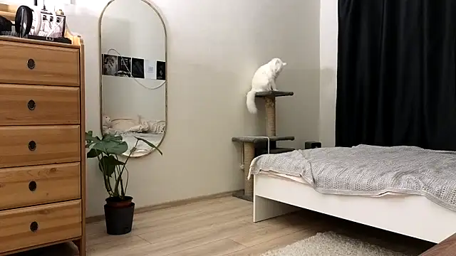 vse horosho online show from 11/13/25, 05:23