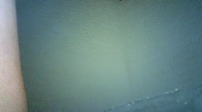 Snapshot of Bellabeltrann chatting on 01/25/25, 09:47 Bellabeltrann online show from 01/25/25, 09:47