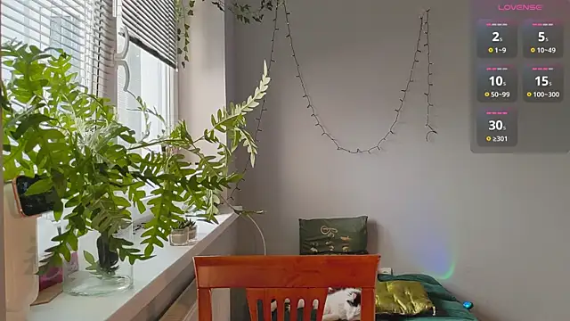 monlight  dana online show from 01/27/25, 11:54