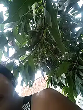 Snapshot of Berry_Bans chatting on 03/13/25, 08:32 Berry Bans online show from 03/13/25, 08:32