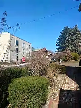 DARemo42O online show from 03/09/25, 02:43