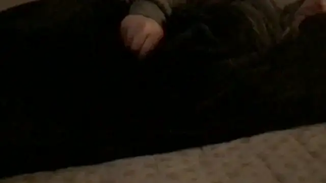 Rock Pierce online show from 02/28/26, 01:23