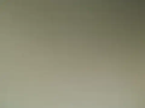 Snapshot of Lovensetest chatting on 03/13/25, 08:48 Lovensetest online show from 03/13/25, 08:48