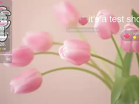 Snapshot of Lovensetest chatting on 11/11/25, 06:35 Lovensetest online show from 11/11/25, 06:35