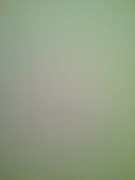 Snapshot of Lovensetest chatting on 02/13/26, 01:01 Lovensetest online show from 02/13/26, 01:01