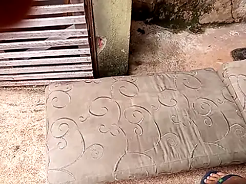 wel9238 online show from 02/25/26, 04:38