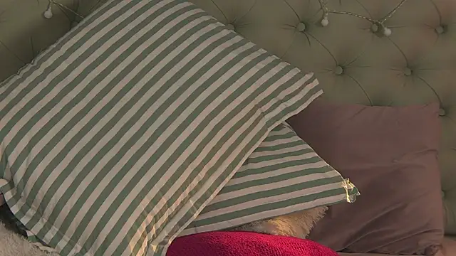 Snapshot of AlicePirs chatting on 02/06/25, 11:32 AlicePirs online show from 02/06/25, 11:32