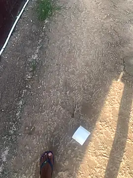 Snapshot of DManL chatting on 11/13/25, 04:44 DManL online show from 11/13/25, 04:44