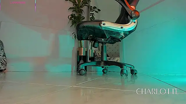 charlotte  grey online show from 11/20/25, 08:41