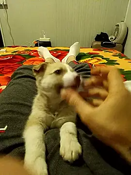 arenn1997 online show from 01/10/26, 12:23