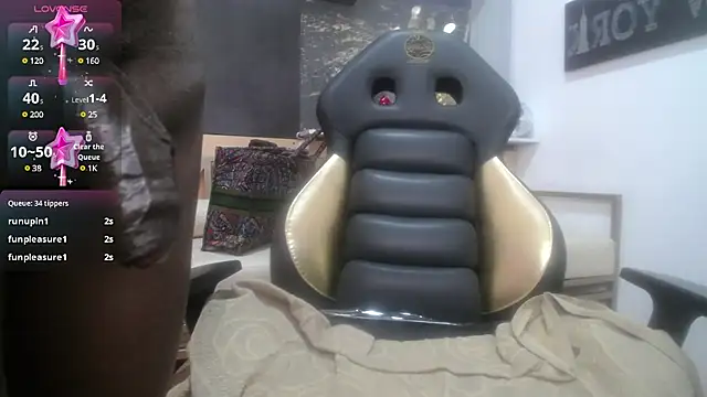 Snapshot of enderlis chatting on 01/31/25, 01:54 enderlis online show from 01/31/25, 01:54