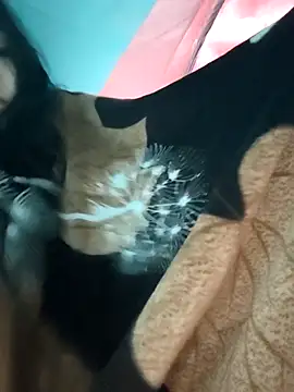 Angel Anamika online show from 11/26/25, 12:22