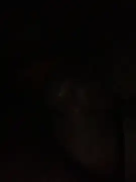 ThickD619 online show from 12/11/24, 12:23