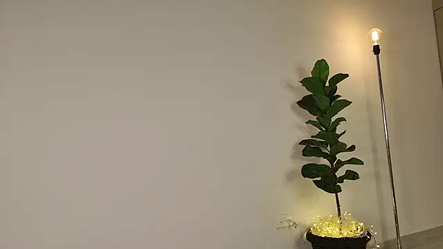 lady ni  online show from 12/17/25, 12:22