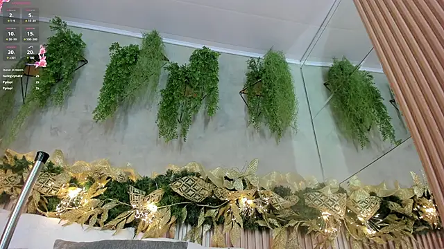 Lana Lann online show from 12/28/24, 03:48