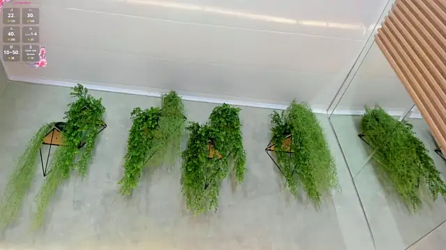 Lana Lann online show from 01/11/25, 06:01