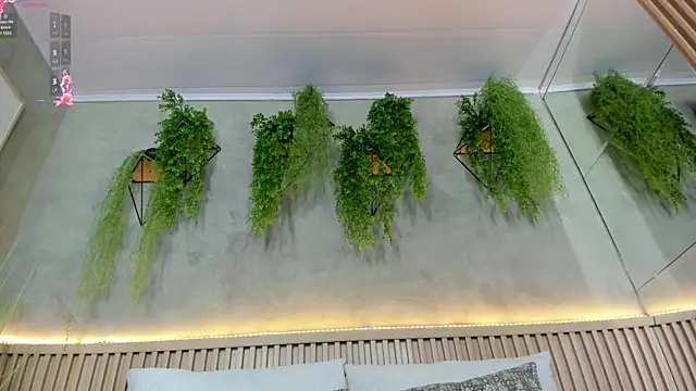 Lana Lann online show from 02/05/25, 12:38