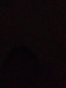 hoot07089 online show from 12/13/24, 02:54