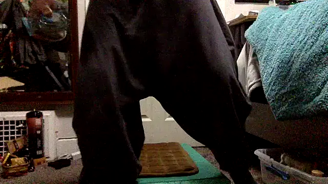 Robriguezxxx online show from 12/26/24, 07:56