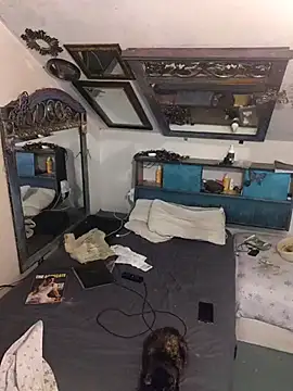 Snapshot of ditchwater chatting on 10/28/25, 11:47 ditchwater online show from 10/28/25, 11:47