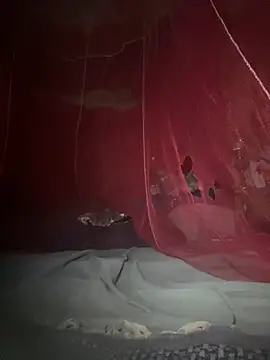 amy gata online show from 02/17/26, 08:55