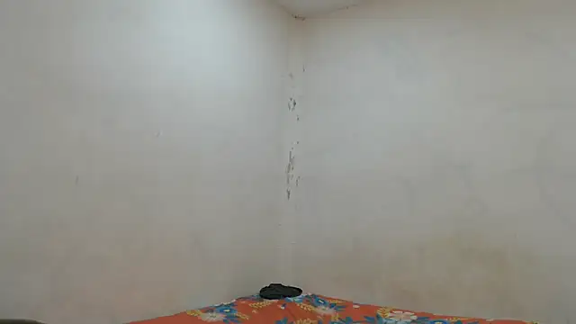 danielitopapuu online show from 11/07/25, 04:23