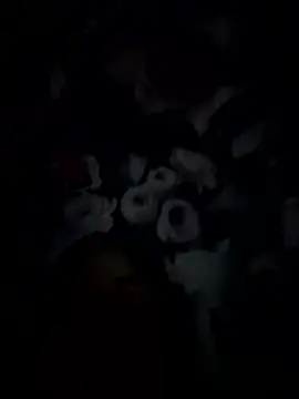 palorid online show from 01/14/26, 09:31