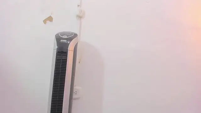 penelope handaos online show from 12/12/24, 05:31