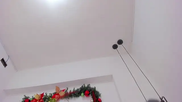 penelope handaos online show from 12/13/24, 09:46