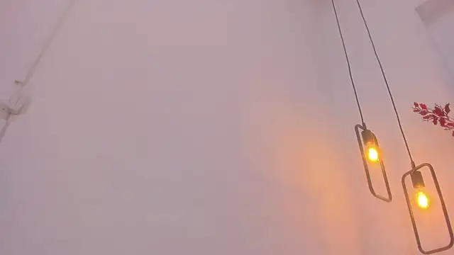 penelope handaos online show from 12/28/24, 08:26