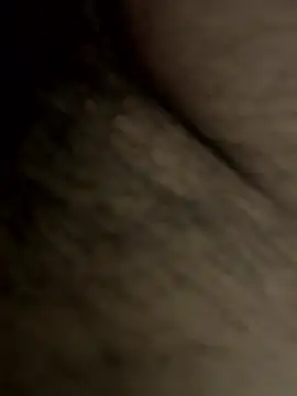 Desibullrck online show from 04/03/26, 05:00