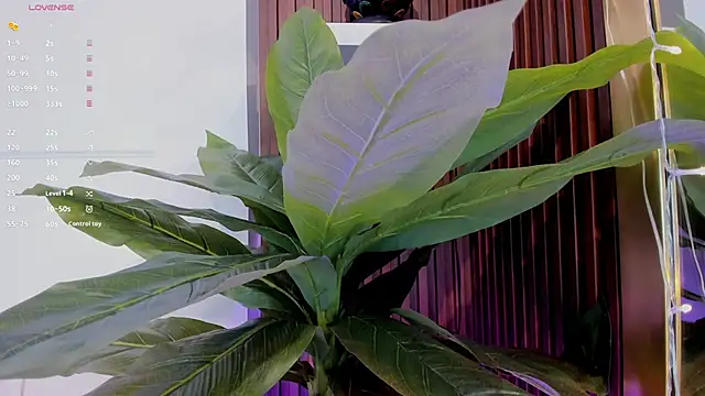 Anybuny online show from 01/20/25, 11:35