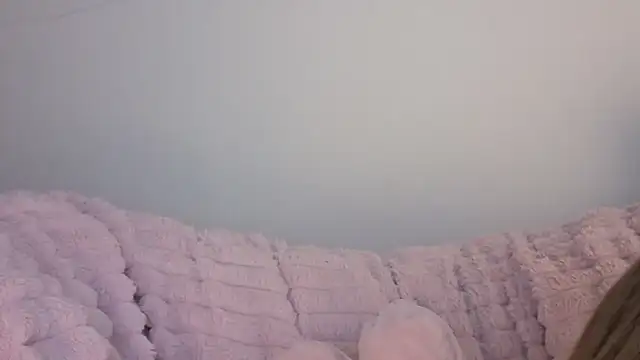 Snapshot of SofiaGc chatting on 01/09/26, 03:42 SofiaGc online show from 01/09/26, 03:42