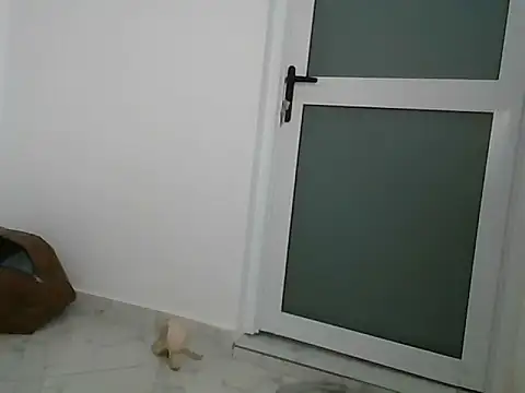 lugari online show from 12/21/24, 10:19