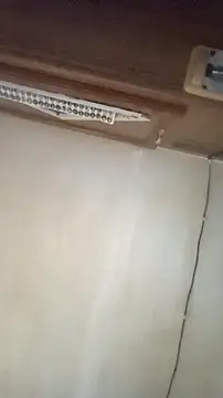 Dllarge online show from 10/15/25, 03:50