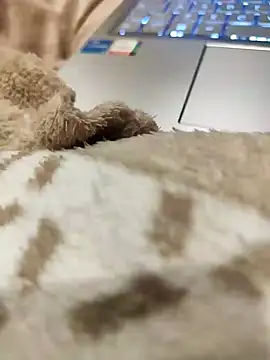 Bemgalado online show from 01/03/25, 08:22