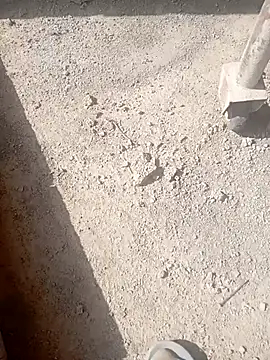 Kurtsikicixh online show from 10/21/25, 09:32