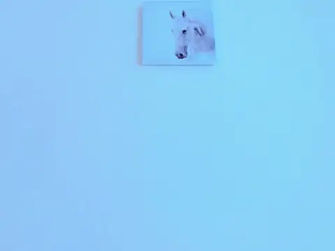 Snapshot of silvano_torres chatting on 02/02/26, 05:00 silvano torres online show from 02/02/26, 05:00