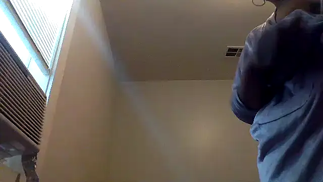 AllLeggs online show from 04/17/26, 05:16