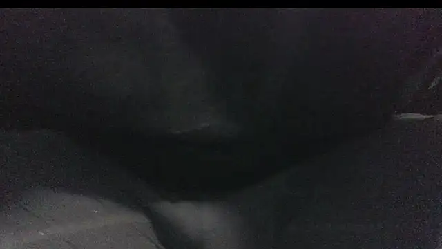 Snapshot of robeaulieu02 chatting on 02/23/25, 06:17 robeaulieu02 online show from 02/23/25, 06:17