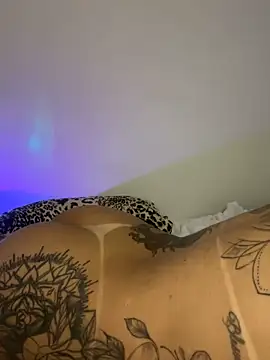 TigrezaSC online show from 02/06/25, 07:56