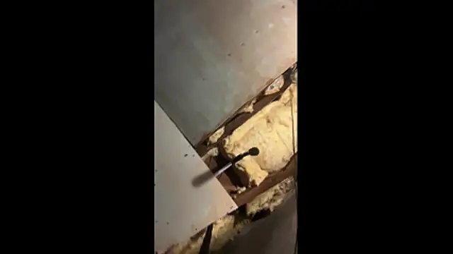 Manwhorxxlcock online show from 03/03/26, 10:32