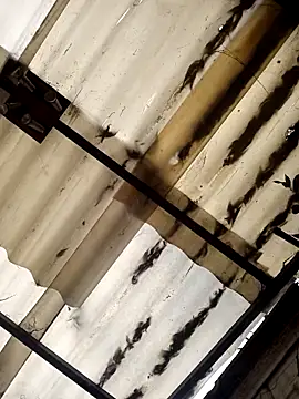 weedmanhot28 online show from 11/02/25, 12:51