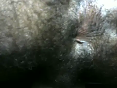 michel sc online show from 12/09/24, 04:12