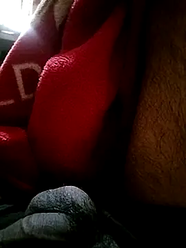 Dilbar049 online show from 11/29/25, 04:26