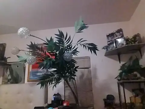 mrwinsalot88 online show from 12/19/25, 07:26