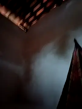 PIKAdePAU27 online show from 12/24/24, 08:33